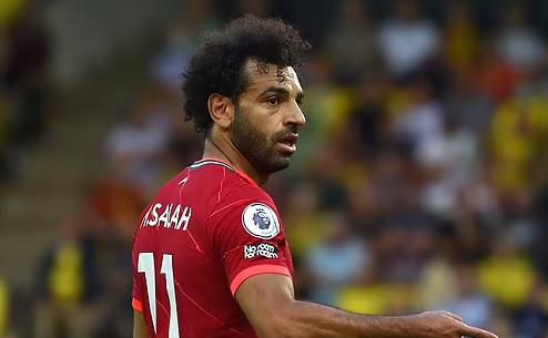 久久精品国产只有精品6