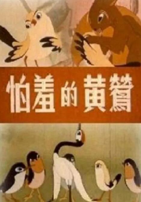 走秀的视频