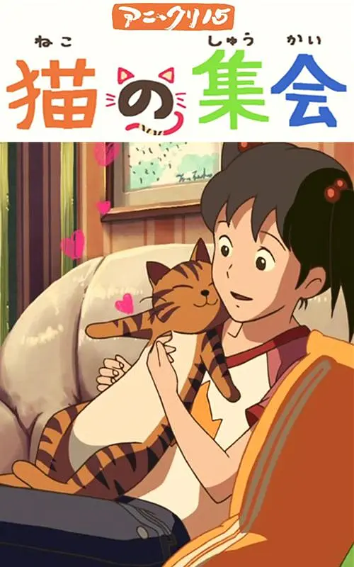 赵女士
