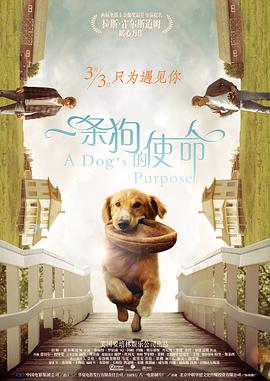 夫前