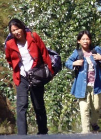 亚洲欧美日韩在线一区