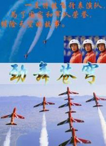 日本aaaa级